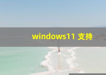 windows11 支持